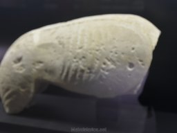 Ciudad de Elche 2022